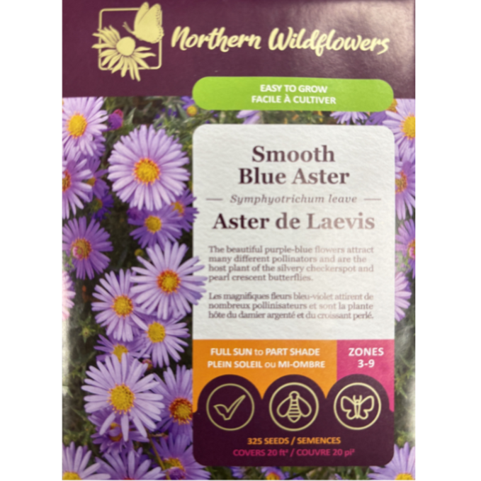 Northern Wildflowers Aster Smooth Blue Pkg.