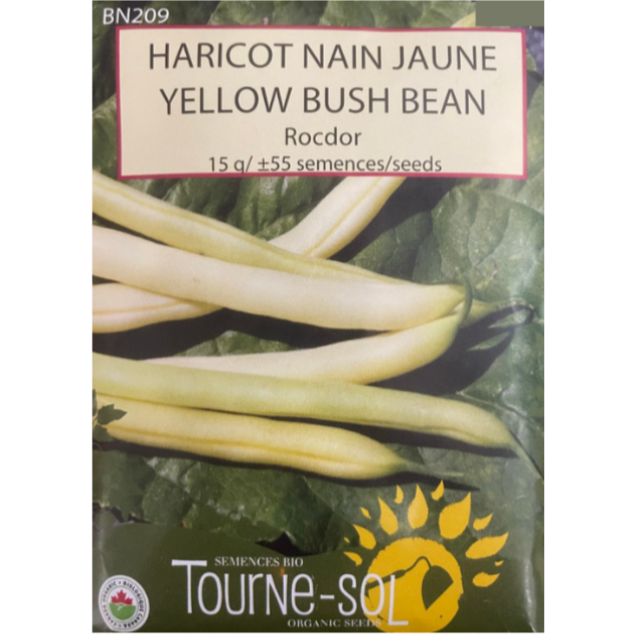 Tourne-Sol Beans Bush Rocdor Yellow Pkg.