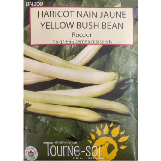 Tourne-Sol Beans Bush Rocdor Yellow Pkg.