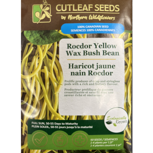 Northern Wildflowers Bean Rocdor Yellow Wax Bush Pkg.