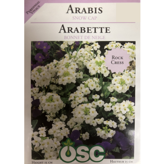 OSC Seeds Arabis Snow Cap Pkg.