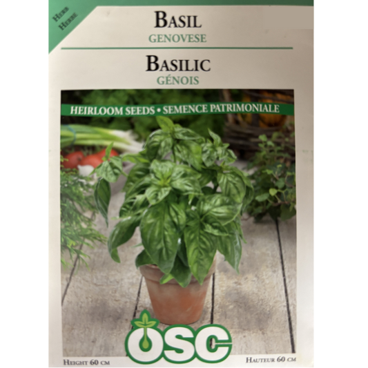 OSC Herb Seeds Basil Genovese Pkg.