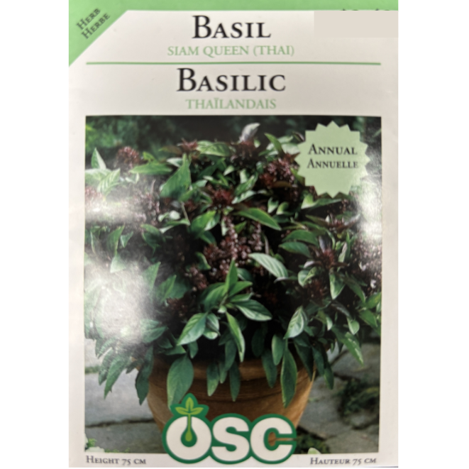 OSC Herb Seeds Basil Siam Queen Thai Pkg.