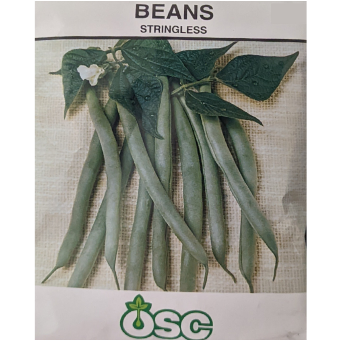 OSC Seeds Beans Stringless Large Pkg.