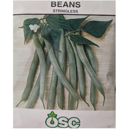 OSC Seeds Beans Stringless Large Pkg.