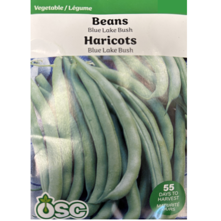 OSC Seeds Beans Blue Lake Bush