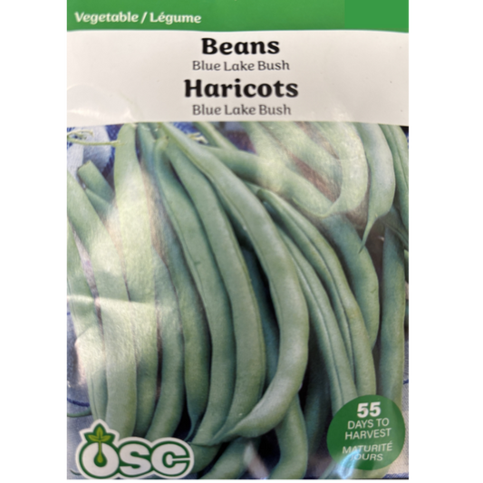 OSC Seeds Beans Blue Lake Bush