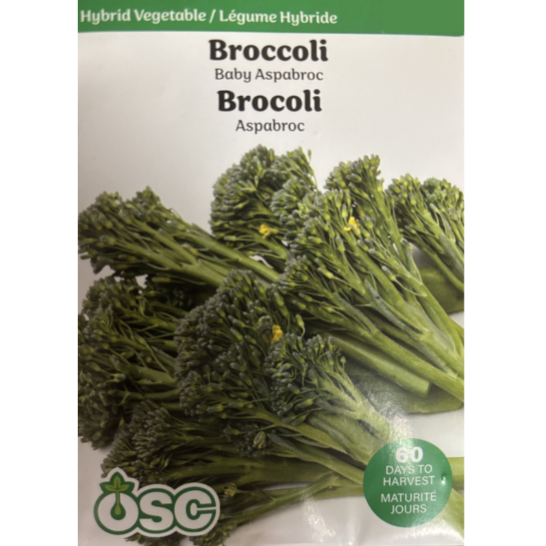 OSC Seeds Broccoli Broccolini Aspabroc Hybrid Pkg.