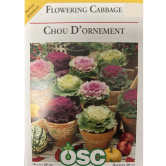 OSC Seeds Cabbage Flowering Pkg.