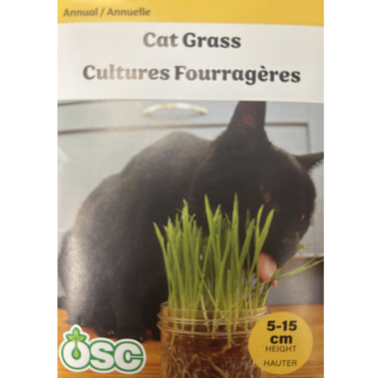 OSC Seeds Cat Grass Pkg.