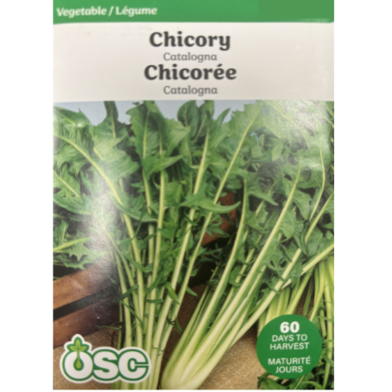 OSC Seeds Chicory Catalogna Pkg.