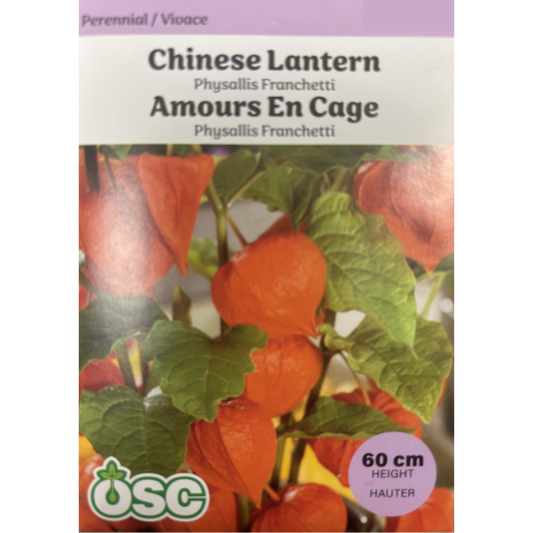 OSC Seeds Chinese Lantern Pkg.