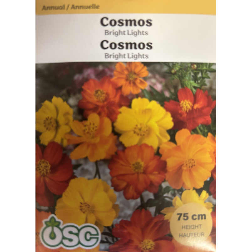 OSC Seeds Cosmos Bright Lights Pkg.