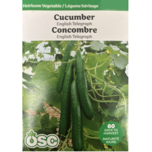 OSC Seeds Cucumber English Telegraph Pkg.