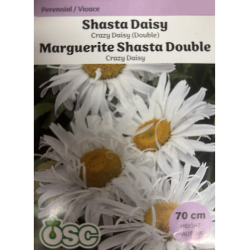 OSC Seeds Daisy Shasta Crazy Double Pkg.