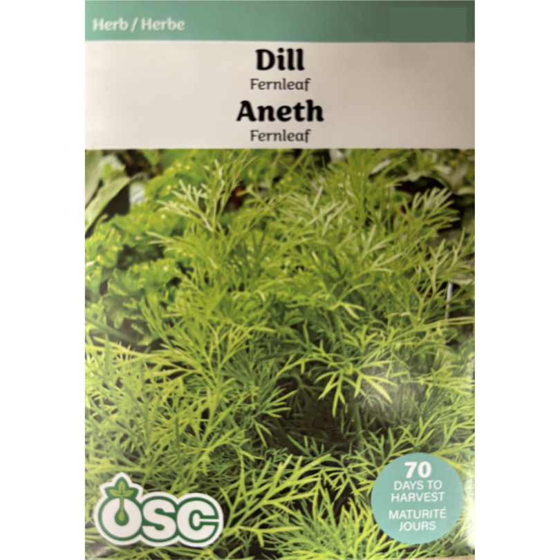 OSC Herb Seeds Dill Fernleaf Pkg.