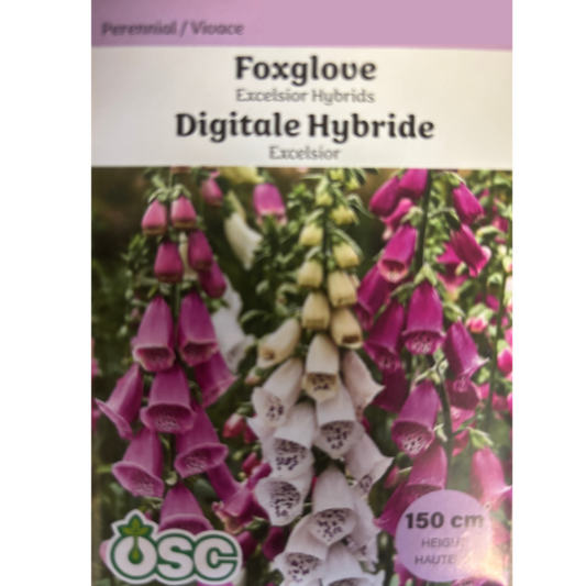 OSC Seeds Foxglove Excelsior Hybrids Pkg.