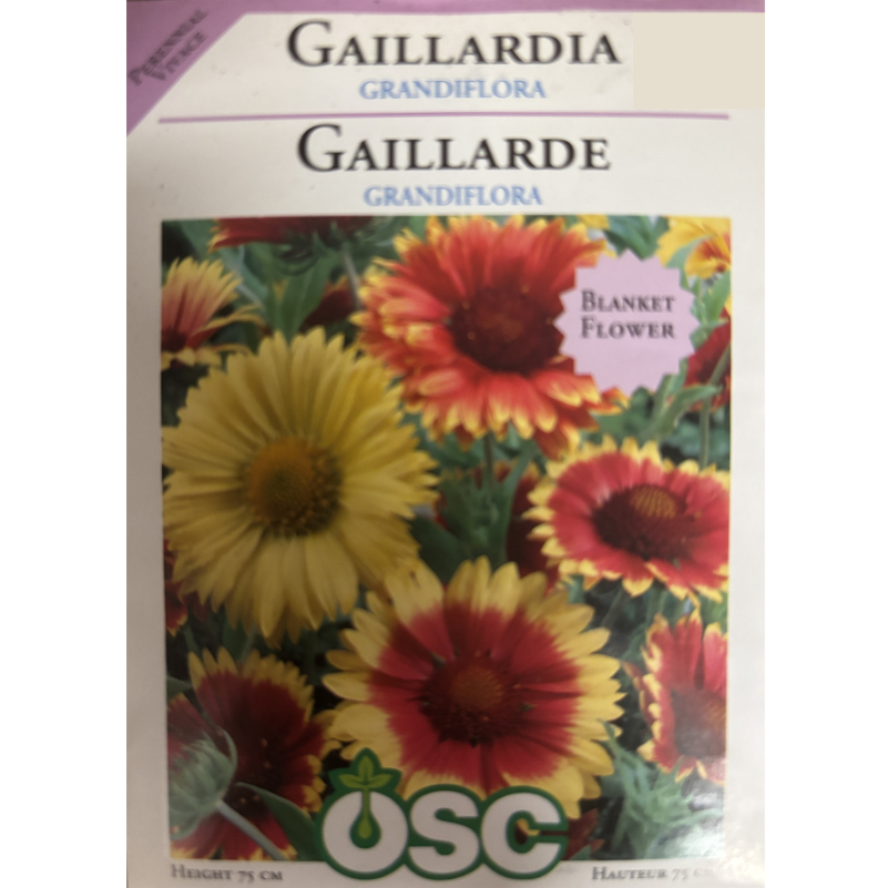 OSC Seeds Gaillardia Grandiflora Pkg.