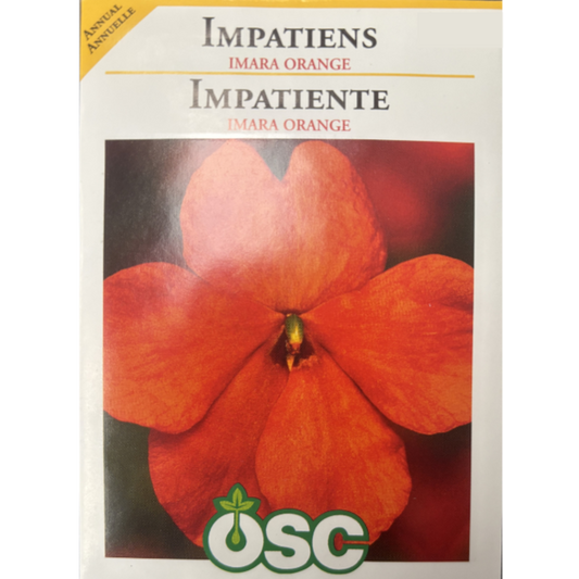 OSC Seeds Impatiens Imara Orange Pkg. Pkg.