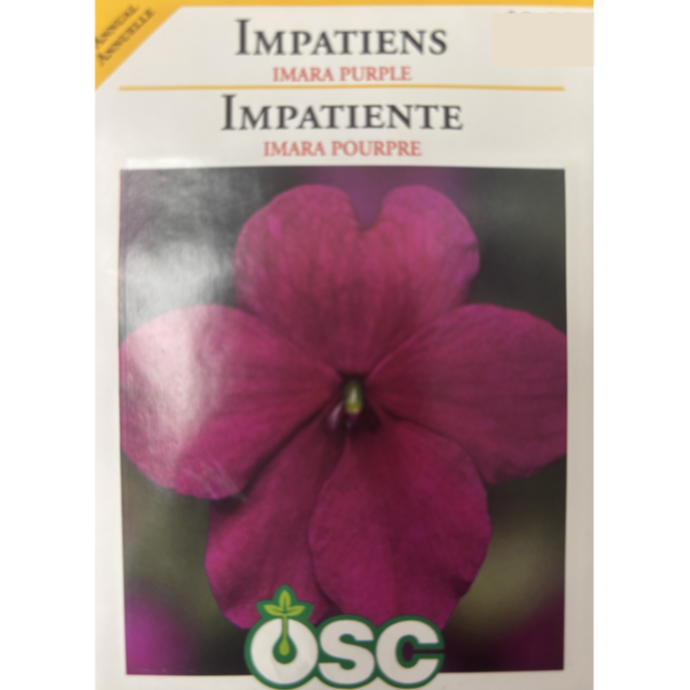 OSC Seeds Impatiens Imara XDR Purple Pkg.