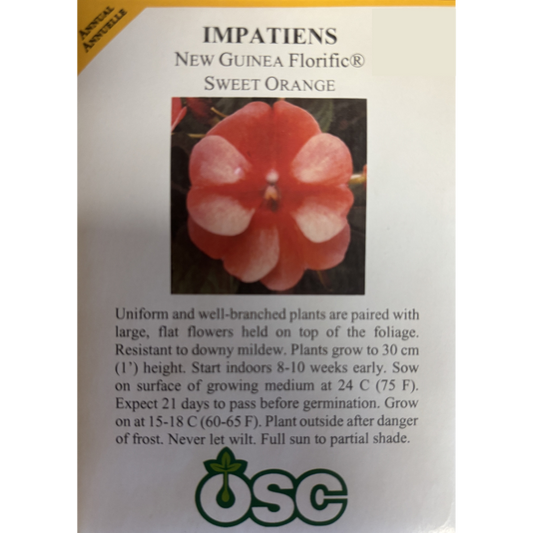 OSC Seeds Impatiens New Guinea Florific Sweet Orange Pkg.