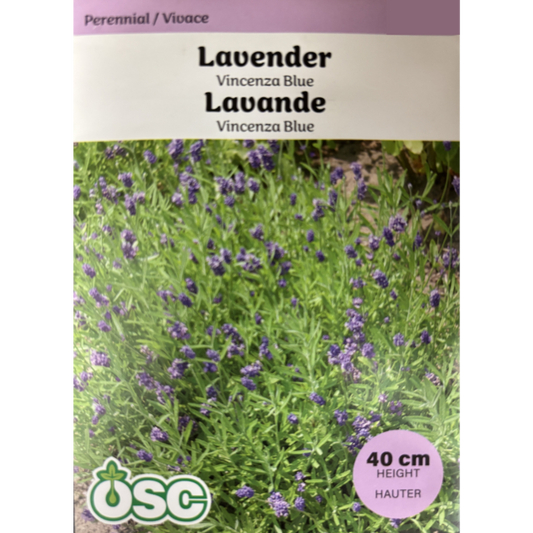 OSC Herb Seeds Lavender Vicenza Blue Pkg.