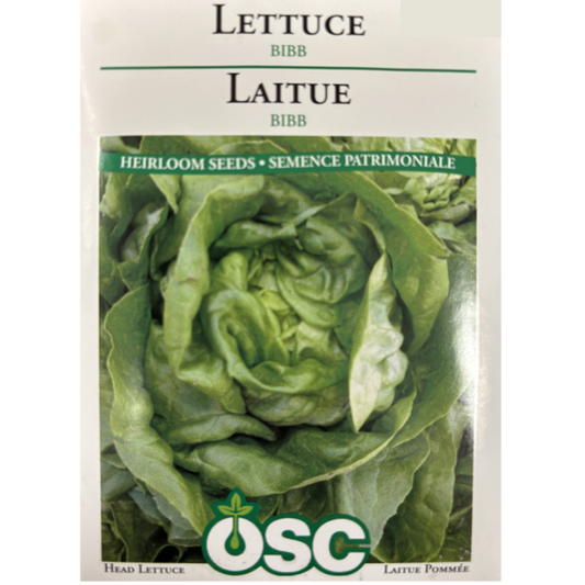 OSC Seeds Lettuce Bibb Pkg.