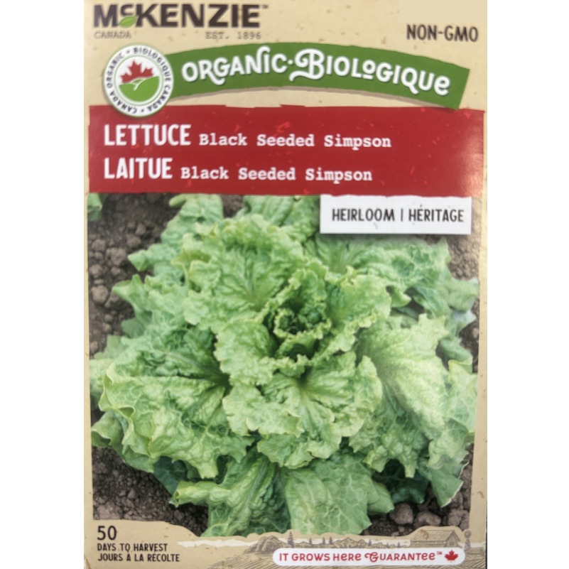 McKenzie Organic Seeds Lettuce Black Seeded Simpson Pkg