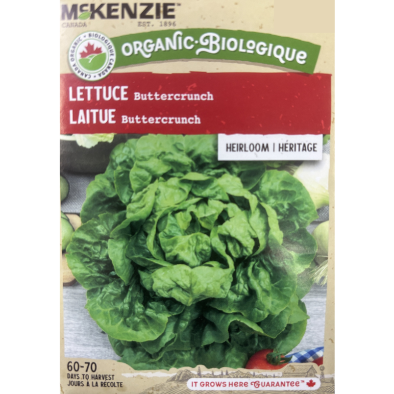 McKenzie Organic Seeds Lettuce Buttercrunch Pkg