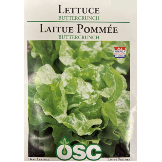 OSC Seeds Lettuce Buttercrunch Pkg.