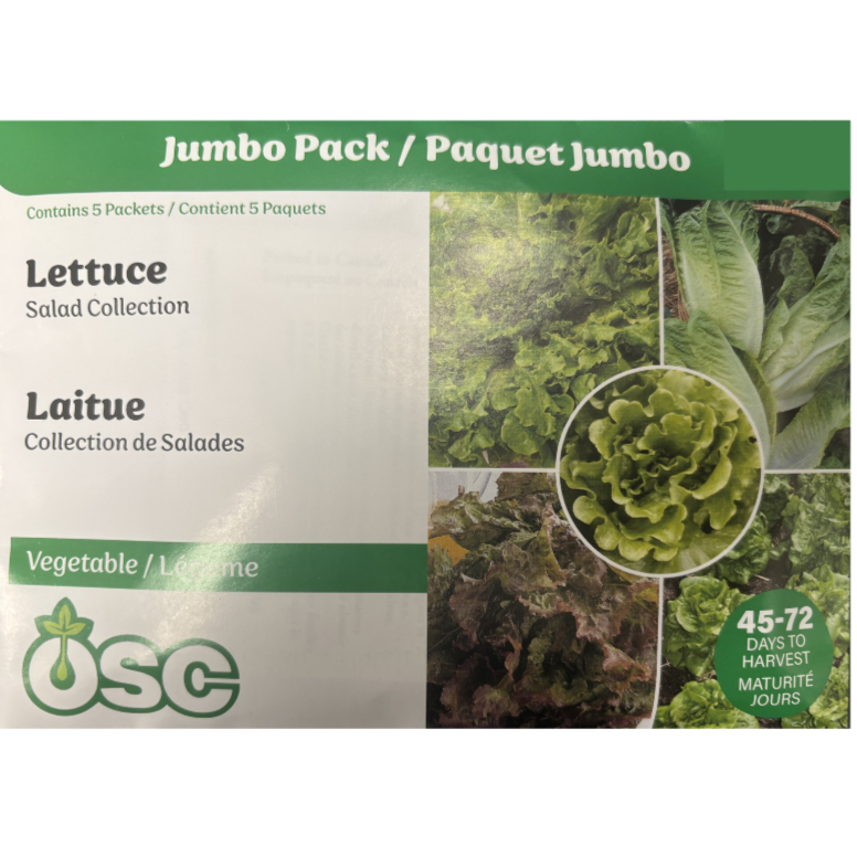 OSC Seeds Lettuce Salad Collection Jumbo Pkg.