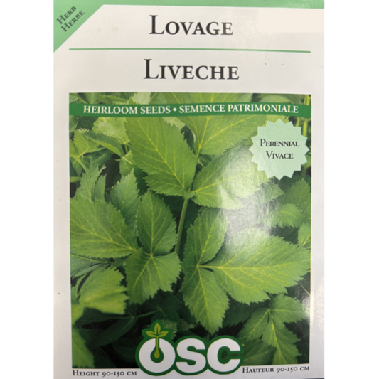 OSC Herb Seeds Lovage Pkg.