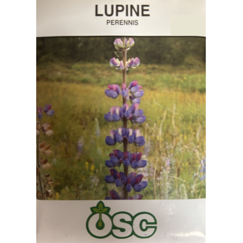 OSC Seeds Lupine Perennis Pkg.