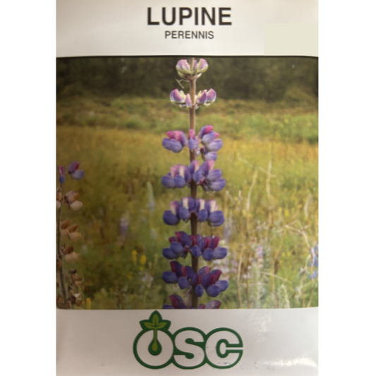 OSC Seeds Lupine Perennis Pkg.