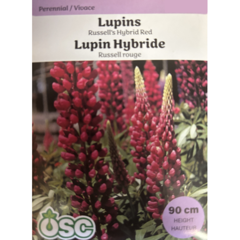 OSC Seeds Lupins Russell's Hybrid Red Pkg.