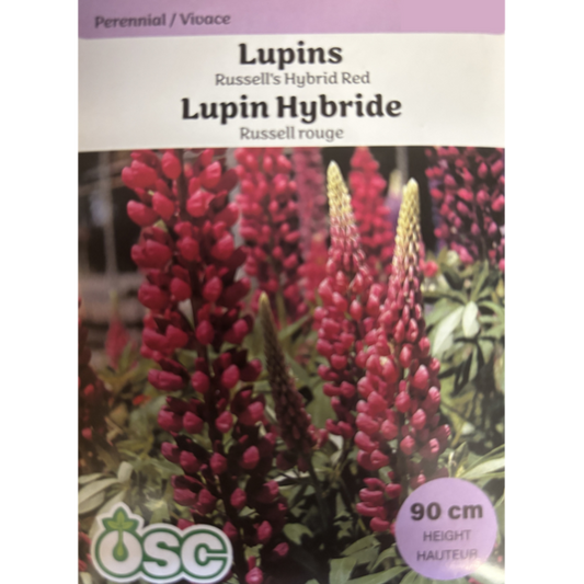 OSC Seeds Lupins Russell's Hybrid Red Pkg.