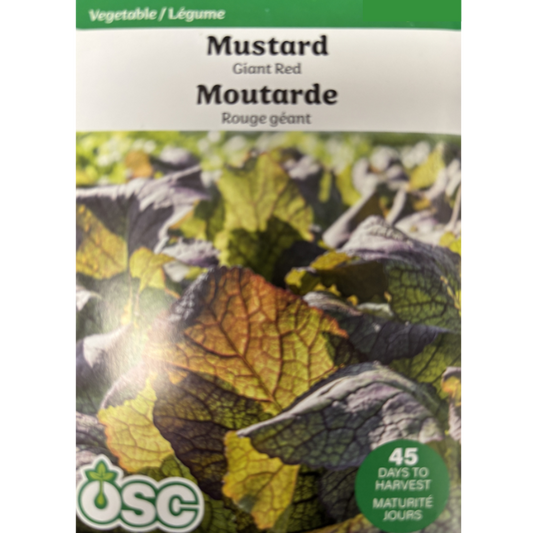 OSC Seeds Mustard Indian Giant Red Pkg.