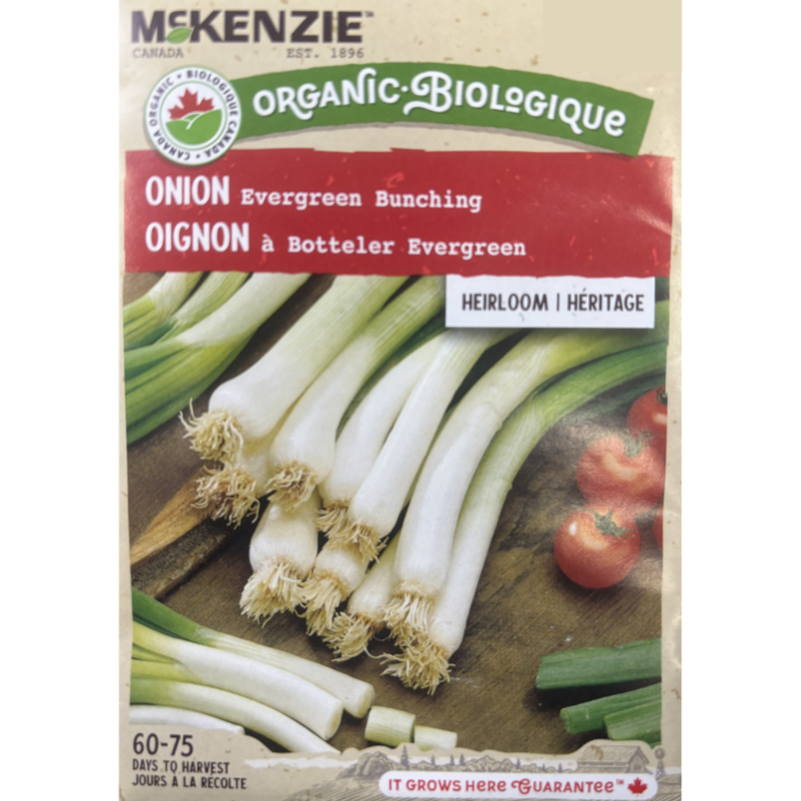 McKenzie Organic Seeds Onion Evergreen Bunching Pkg