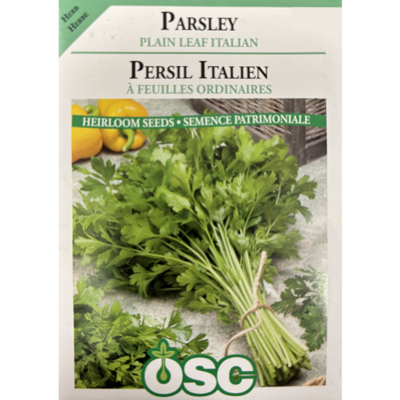 OSC Seeds Herb Parsley Plain Leaf Italian Pkg.