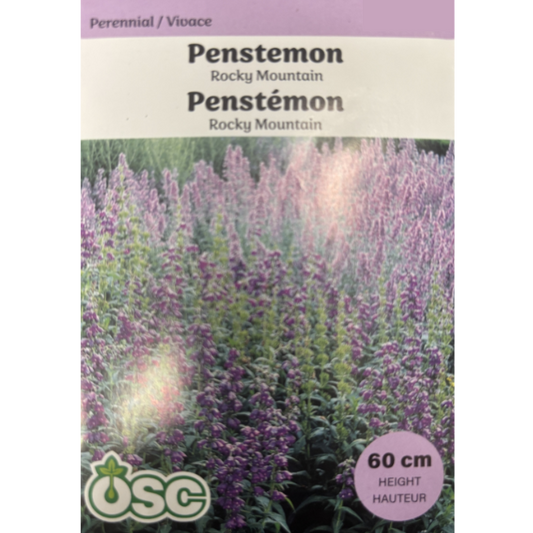 OSC Seeds Penstemon Rocky Mountain Pkg.