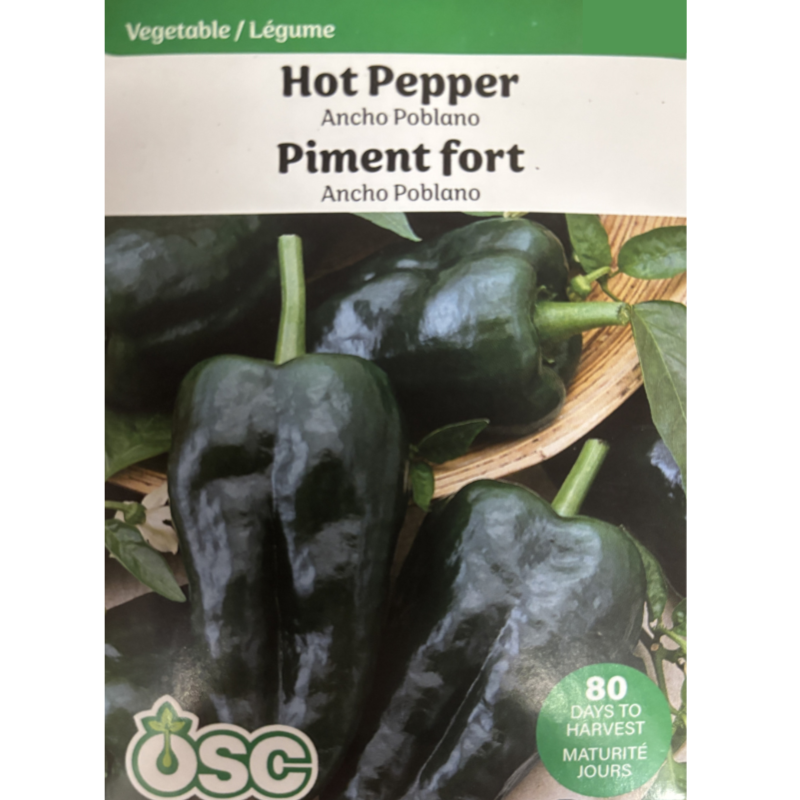 OSC Seeds Pepper Ancho Poblano Hot Pkg.