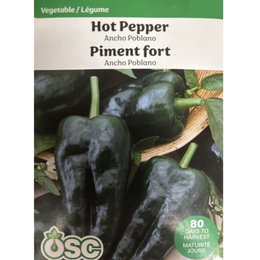 OSC Seeds Pepper Ancho Poblano Hot Pkg.