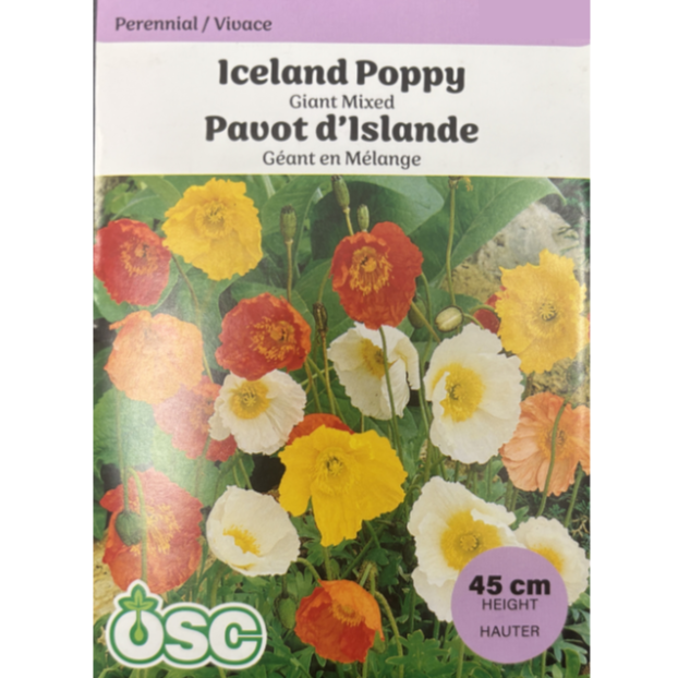 OSC Seeds Poppy Iceland Giant Mixed Pkg.