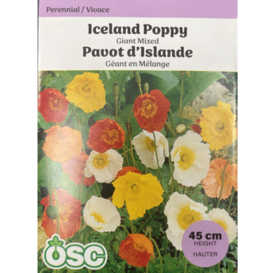 OSC Seeds Poppy Iceland Giant Mixed Pkg.