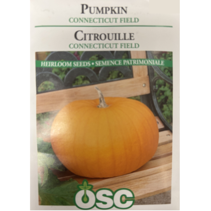 OSC Seeds Pumpkin Connecticut Field Pkg.