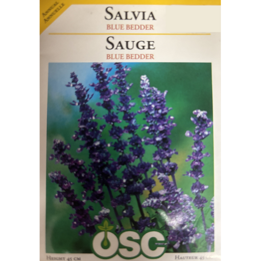 OSC Seeds Salvia Blue Bedder Pkg.