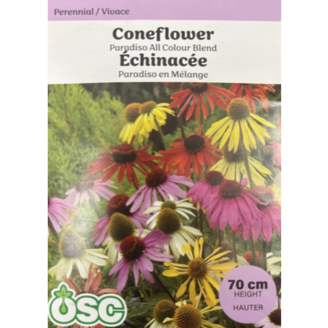 OSC Seeds Coneflower Paridosa All Colour Blend Pkg.