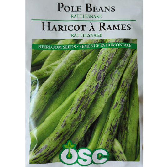 OSC Seeds Beans Pole Rattlesnake Pkg.