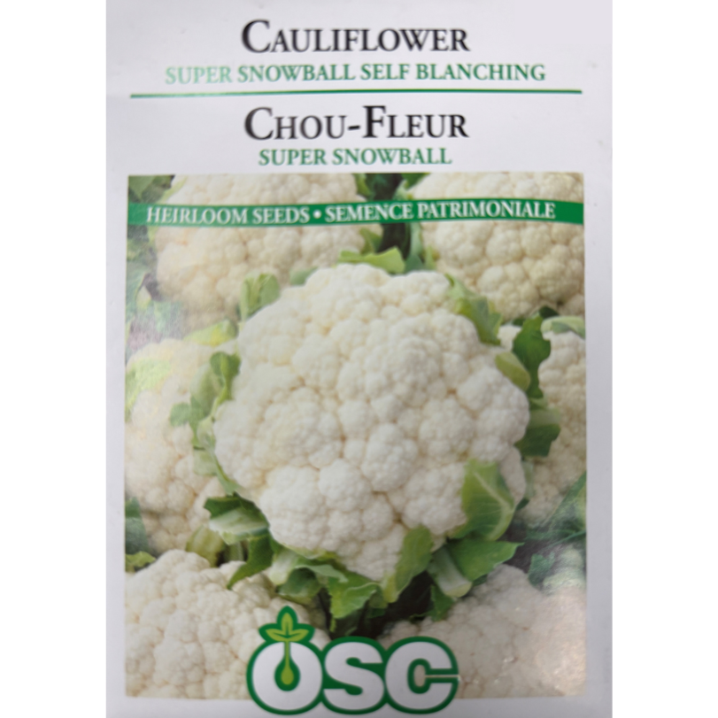 OSC Seeds Cauliflower Super Snowball Self Blanching Early Pkg.