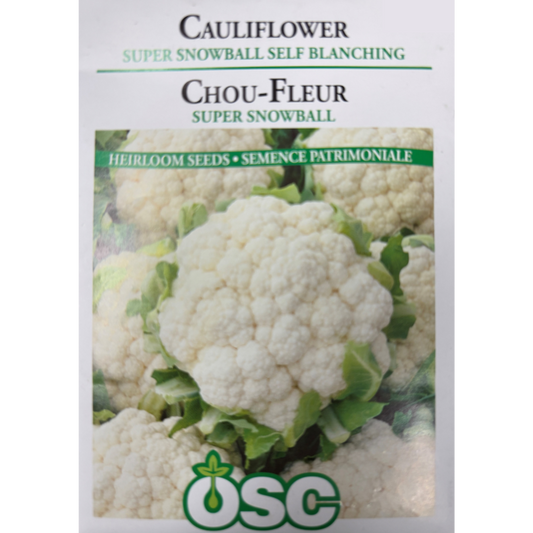 OSC Seeds Cauliflower Super Snowball Self Blanching Early Pkg.